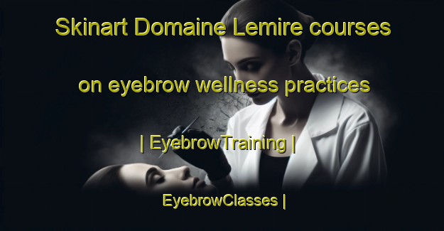 Skinart Domaine Lemire courses on eyebrow wellness practices | EyebrowTraining | EyebrowClasses | SkinartTraining-Canada